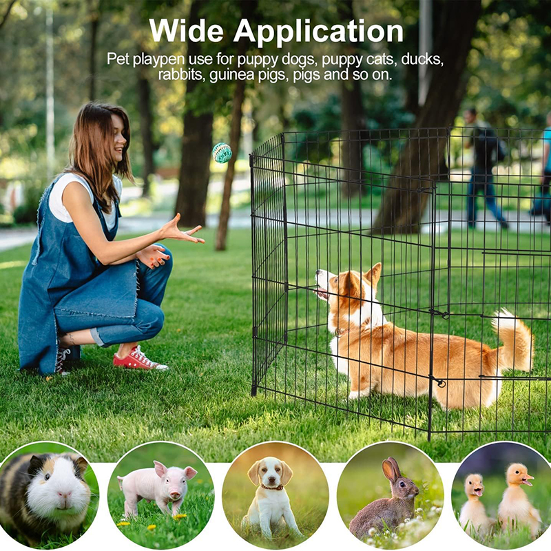 أكسفورد ، أرضية قابلة للطي القابلة للطي الكلب الكلب أكسفورد ، أرضية قابلة للطي القابلة للطي الكلب الكلب