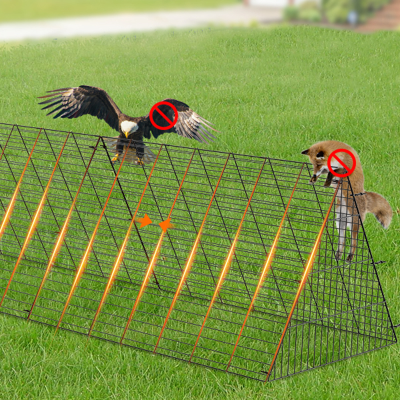 تشغيل في الهواء الطلق قفص الدجاج الدجاج الكبير للبطة تشغيل في الهواء الطلق قفص الدجاج الدجاج الكبير للبطة