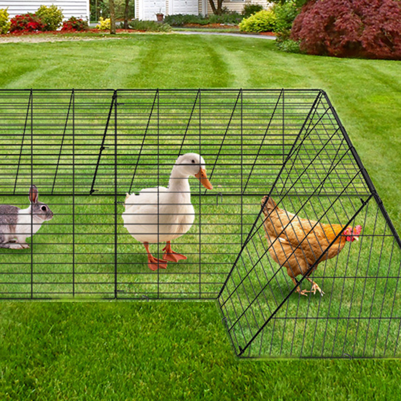 تشغيل في الهواء الطلق قفص الدجاج الدجاج الكبير للبطة تشغيل في الهواء الطلق قفص الدجاج الدجاج الكبير للبطة