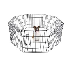 كيفية اختيار حجم القفص المناسب ووظائفه للحيوانات الأليفة المختلفة؟